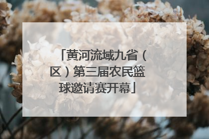 黄河流域九省（区）第三届农民篮球邀请赛开幕