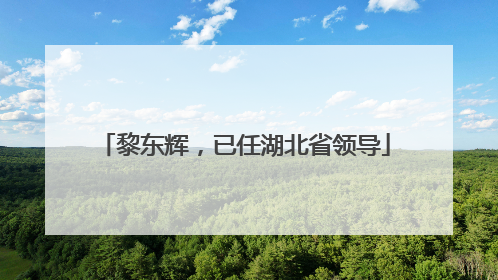 黎东辉，已任湖北省领导
