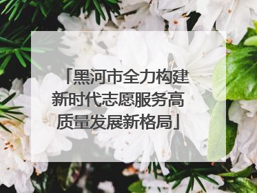 黑河市全力构建新时代志愿服务高质量发展新格局