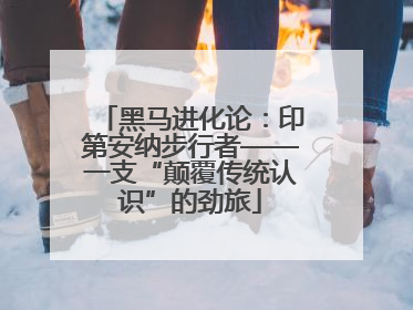 黑马进化论：印第安纳步行者——一支“颠覆传统认识”的劲旅