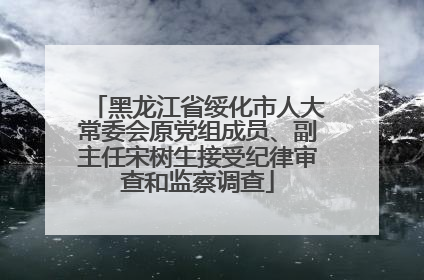 黑龙江省绥化市人大常委会原党组成员、副主任宋树生接受纪律审查和监察调查