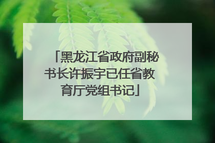 黑龙江省政府副秘书长许振宇已任省教育厅党组书记