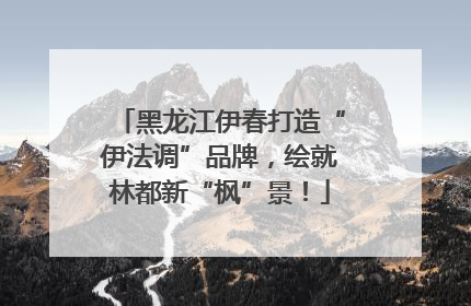 黑龙江伊春打造“伊法调”品牌，绘就林都新“枫”景！
