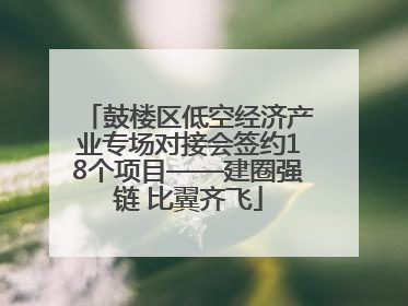 鼓楼区低空经济产业专场对接会签约18个项目——建圈强链 比翼齐飞