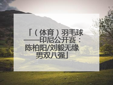 （体育）羽毛球——印尼公开赛：陈柏阳/刘毅无缘男双八强