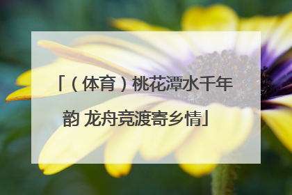 （体育）桃花潭水千年韵 龙舟竞渡寄乡情