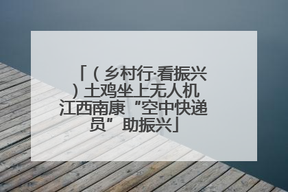（乡村行·看振兴）土鸡坐上无人机 江西南康“空中快递员”助振兴