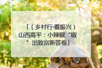 （乡村行·看振兴）山西高平：小辣椒“椒”出致富新答卷