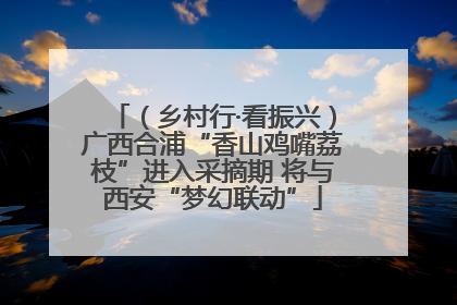 （乡村行·看振兴）广西合浦“香山鸡嘴荔枝”进入采摘期 将与西安“梦幻联动”