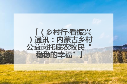 （乡村行·看振兴）通讯：内蒙古乡村公益岗托底农牧民“稳稳的幸福”