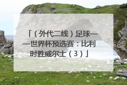 （外代二线）足球——世界杯预选赛：比利时胜威尔士（3）