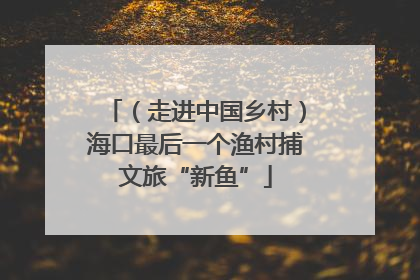 （走进中国乡村）海口最后一个渔村捕文旅“新鱼”
