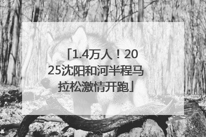 1.4万人！2025沈阳和河半程马拉松激情开跑