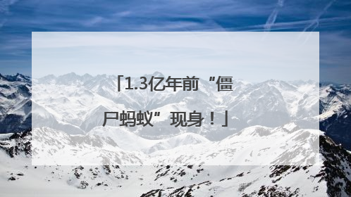 1.3亿年前“僵尸蚂蚁”现身！