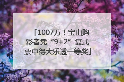 1007万！宝山购彩者凭“9+2”复式票中得大乐透一等奖