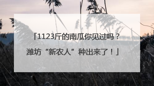 1123斤的南瓜你见过吗？潍坊“新农人”种出来了！