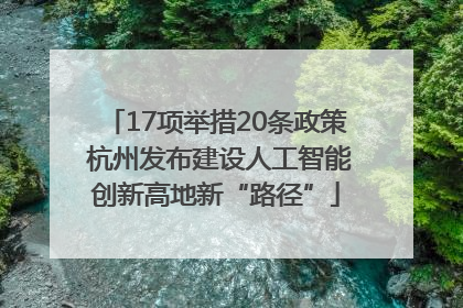 17项举措20条政策 杭州发布建设人工智能创新高地新“路径”