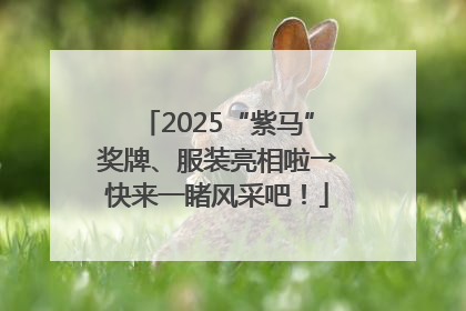 2025“紫马”奖牌、服装亮相啦→快来一睹风采吧！