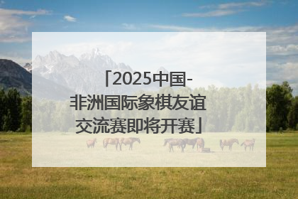 2025中国-非洲国际象棋友谊交流赛即将开赛