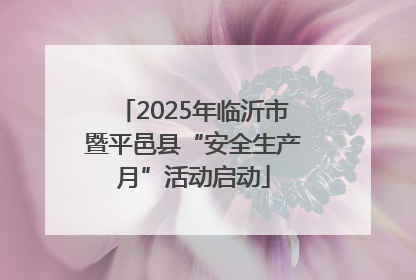 2025年临沂市暨平邑县“安全生产月”活动启动