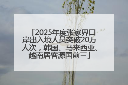 2025年度张家界口岸出入境人员突破20万人次，韩国、马来西亚、越南居客源国前三