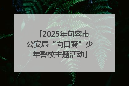 2025年句容市公安局“向日葵”少年警校主题活动