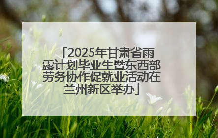 2025年甘肃省雨露计划毕业生暨东西部劳务协作促就业活动在兰州新区举办