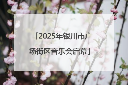 2025年银川市广场街区音乐会启幕