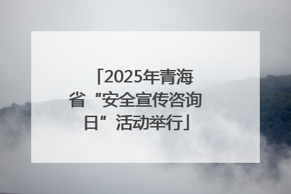 2025年青海省“安全宣传咨询日”活动举行