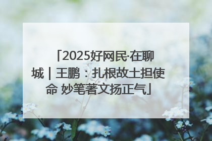 2025好网民·在聊城｜王鹏：扎根故土担使命 妙笔著文扬正气