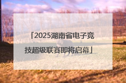 2025湖南省电子竞技超级联赛即将启幕