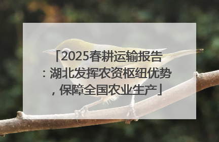 2025春耕运输报告：湖北发挥农资枢纽优势，保障全国农业生产