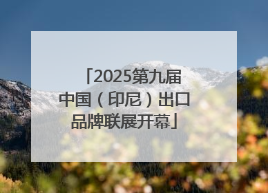 2025第九届中国（印尼）出口品牌联展开幕