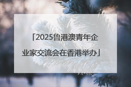 2025鲁港澳青年企业家交流会在香港举办
