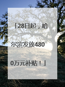 28日起，哈尔滨发放4800万元补贴！