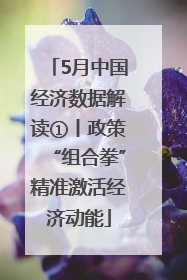 5月中国经济数据解读①丨政策“组合拳”精准激活经济动能
