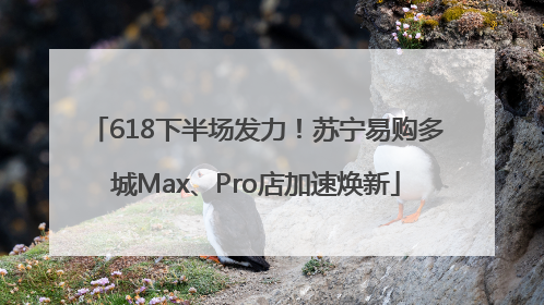 618下半场发力！苏宁易购多城Max、Pro店加速焕新
