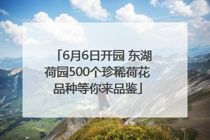 6月6日开园 东湖荷园500个珍稀荷花品种等你来品鉴