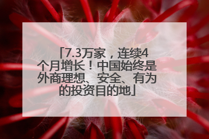 7.3万家，连续4个月增长！中国始终是外商理想、安全、有为的投资目的地