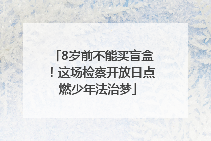 8岁前不能买盲盒！这场检察开放日点燃少年法治梦