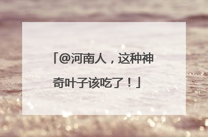 @河南人，这种神奇叶子该吃了！