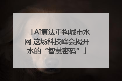 AI算法重构城市水网 这场科技峰会揭开水的“智慧密码”
