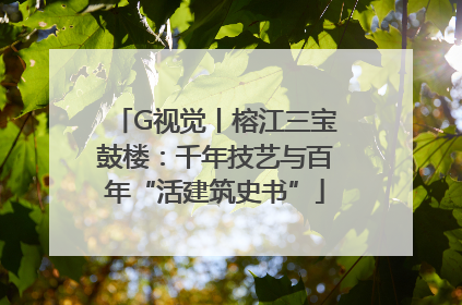 G视觉丨榕江三宝鼓楼：千年技艺与百年“活建筑史书”