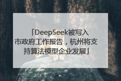 DeepSeek被写入市政府工作报告，杭州将支持算法模型企业发展