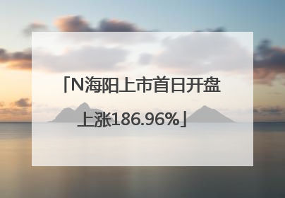 N海阳上市首日开盘上涨186.96%