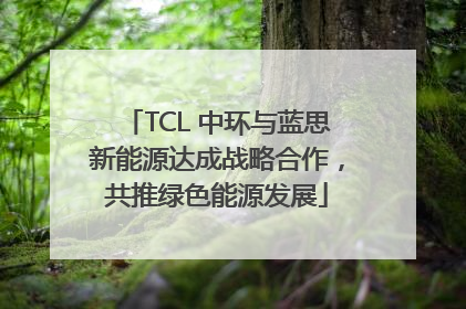 TCL 中环与蓝思新能源达成战略合作，共推绿色能源发展
